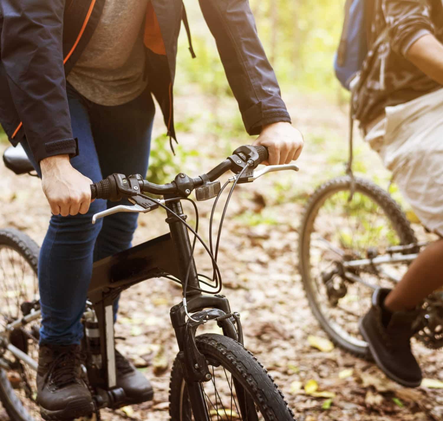 north harbour mountain bike trail