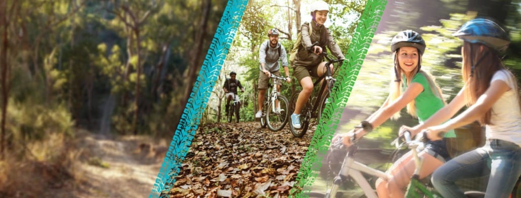 north harbour mountain bike trail