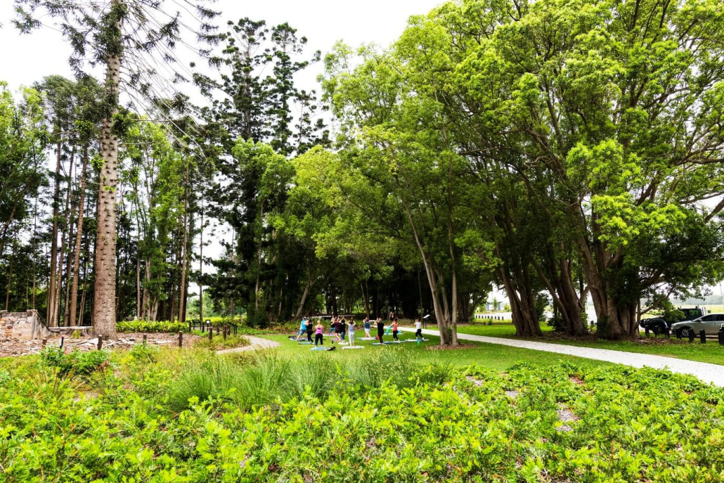 North Harbour - greener way of life