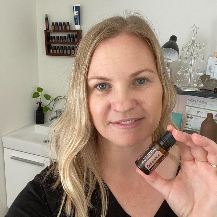 North Harbour small business owners